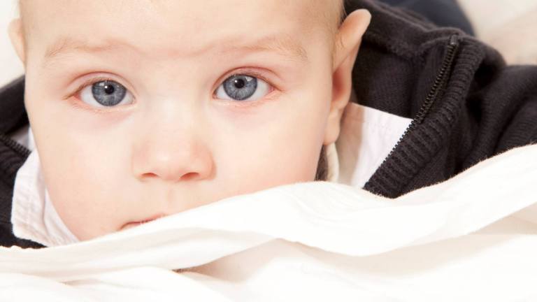 1269716_170069049862220_1545192759_o