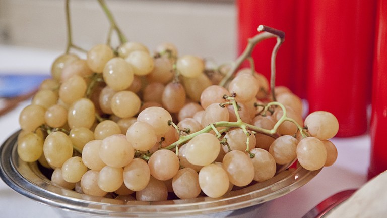 Fotografia Cresima e Comunione (21)