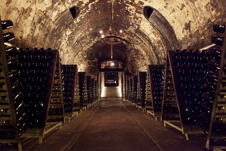 Berlucchi Franciacorta (14)