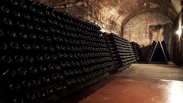 Berlucchi Franciacorta (9)