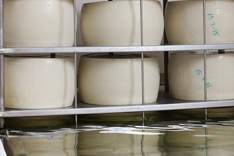 Caseificio Casello (2)