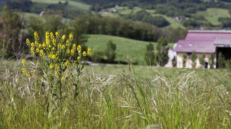 Caseificio Casello (21)