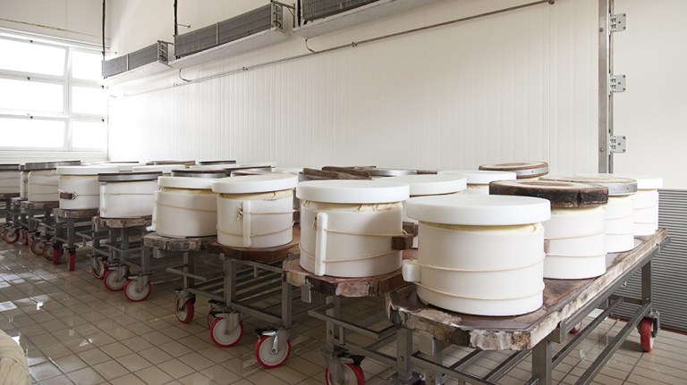 Caseificio Casello (3)