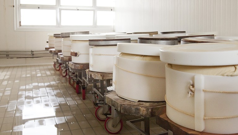 Caseificio Casello (5)