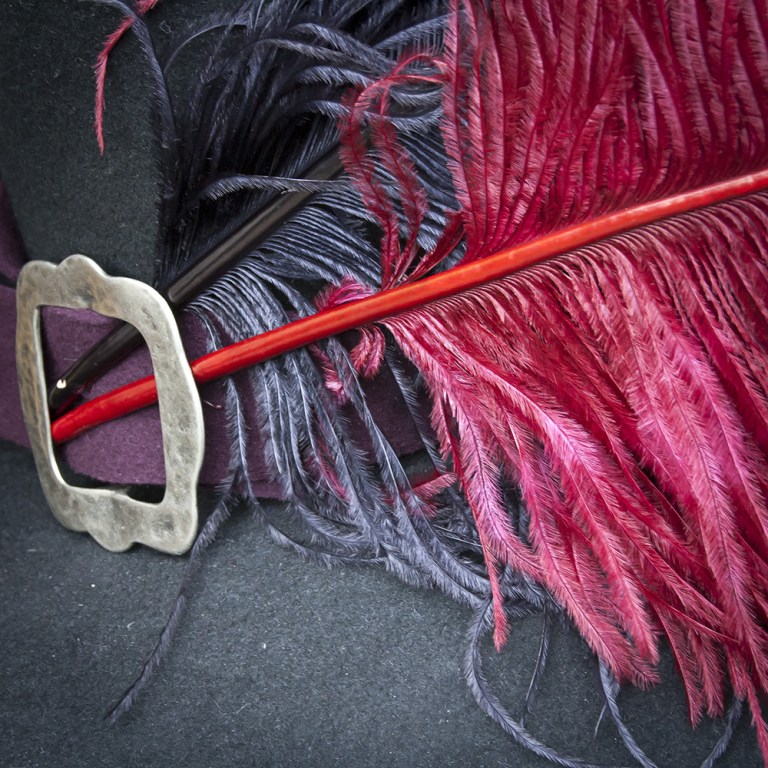 Rievocazione storica - Confraternita del Leone (29)