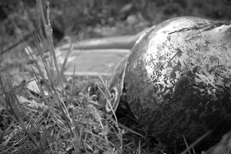 Rievocazione storica - Confraternita del Leone (48)