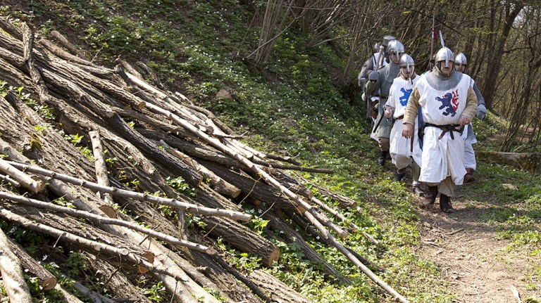 Rievocazione storica - Confraternita del Leone (9)