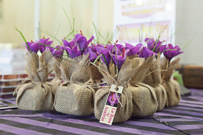 Salone del Gusto 2014 (14)