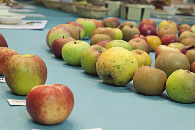 Salone del Gusto 2014 (7)