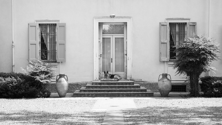 Tipico e cooperativo (11)