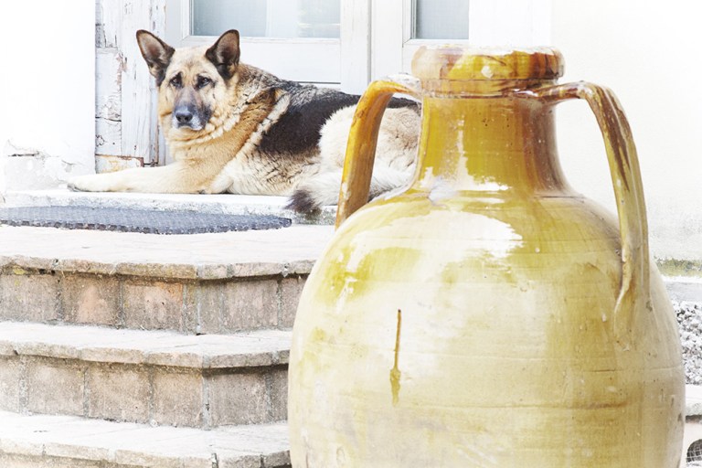 Tipico e cooperativo (12)