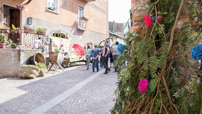 Laura Gatta Marmentino - Festa di primavera (1)