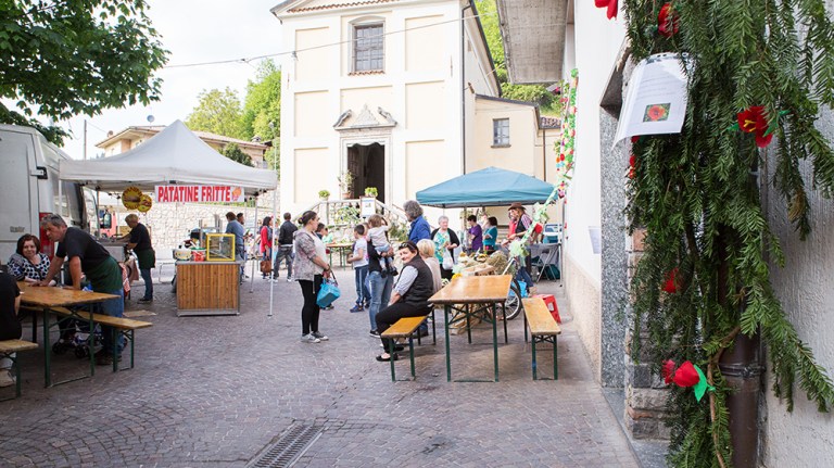 Laura Gatta Marmentino - Festa di primavera (61)