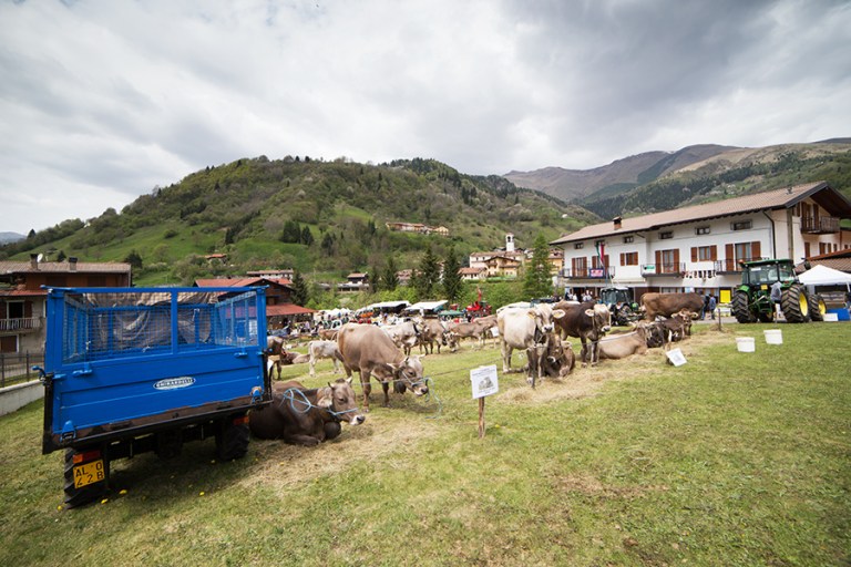 Rassegna Bruna Valtrumplina Laura Gatta (10)