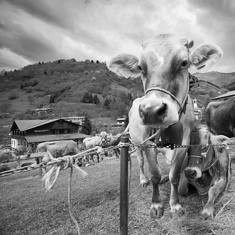 Rassegna Bruna Valtrumplina Laura Gatta (12)