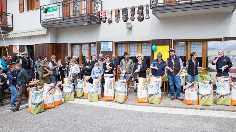 Rassegna Bruna Valtrumplina Laura Gatta (66)