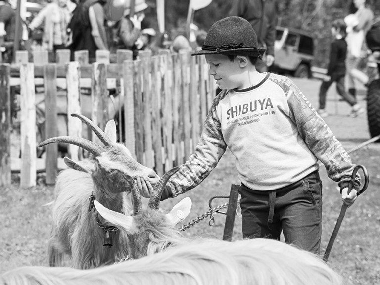 Rassegna Bruna Valtrumplina Laura Gatta (7)