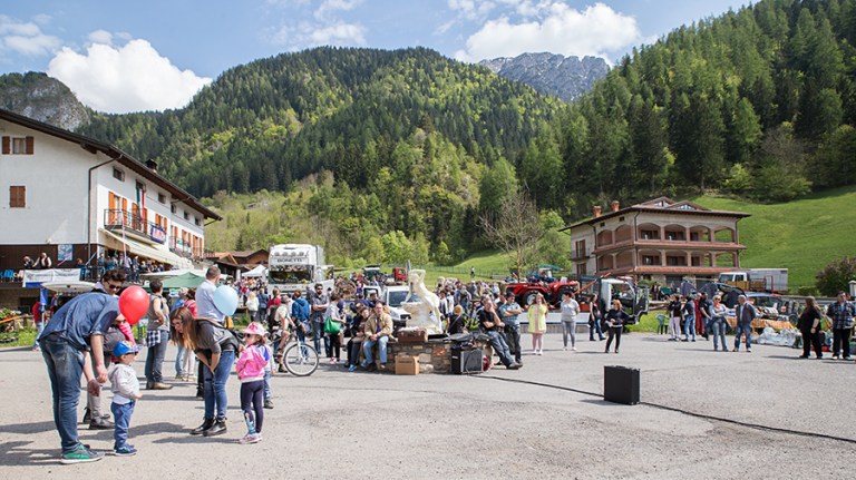 Rassegna Bruna Valtrumplina Laura Gatta (78)