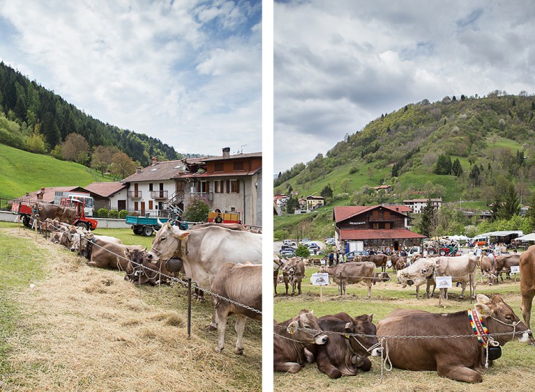 Rassegna Bruna Valtrumplina Laura Gatta