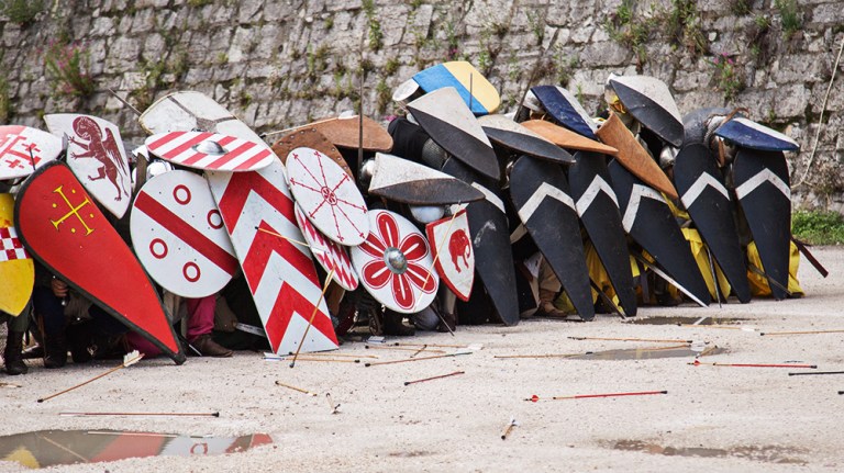 Rievocazione storica castello Confraternita del leone laura gatta (45)